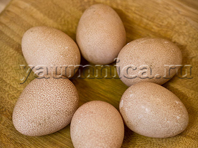 Яйца цесарок польза