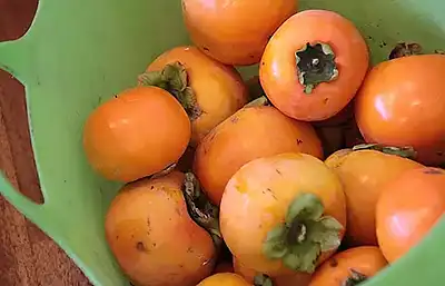 картинки хурма хурма рецепт